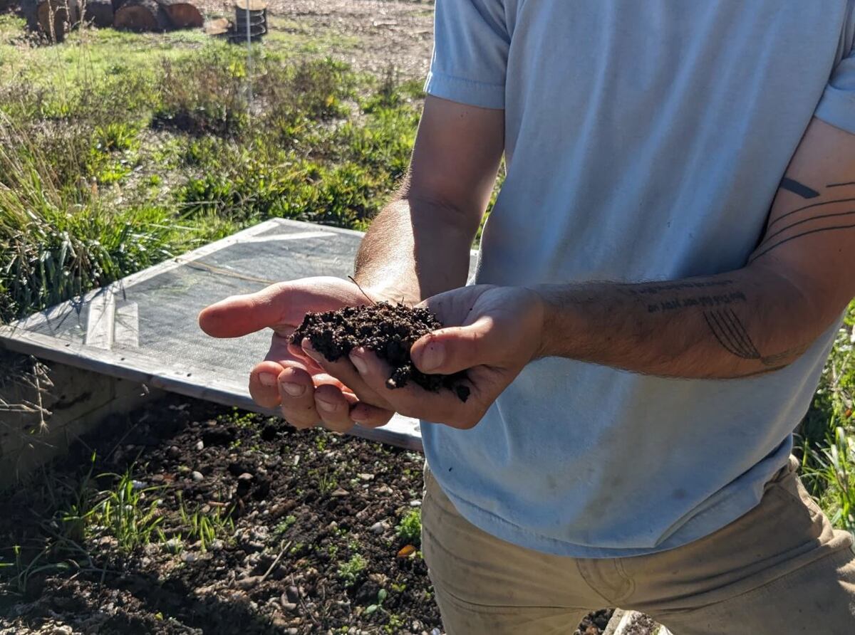 Greenhouse Tattoo eco-friendly