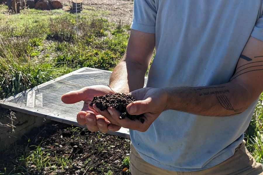 Greenhouse Tattoo eco-friendly