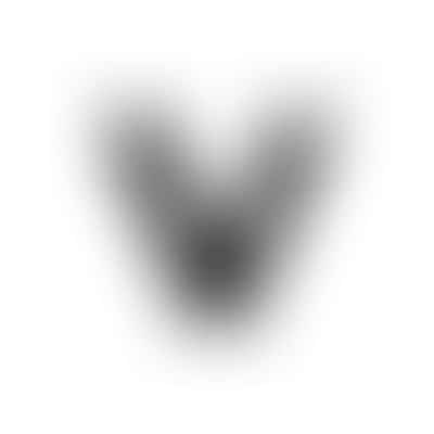 Vixen & Viking Tattoo Studio LLC Logo