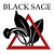 Black Sage Studio Logo