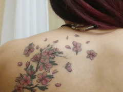 5 Venoms Tattoo Studio