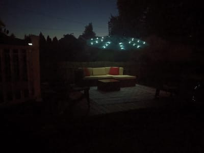 5 Venoms Tattoo Studio