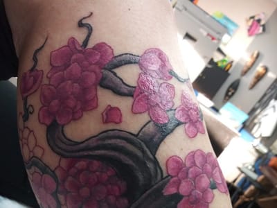 50 Shades of Pain Tattoo and Art Studio