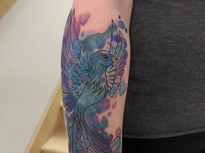 A Dead Anchor Tattoo & Body Piercing