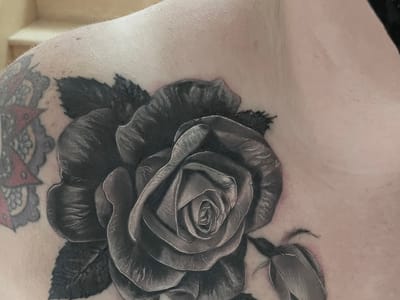 A Dead Anchor Tattoo & Body Piercing