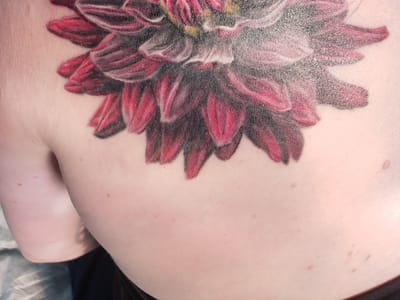 Aardvark Tattoo Company