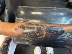 Abzolute Trillionaire Tattoos