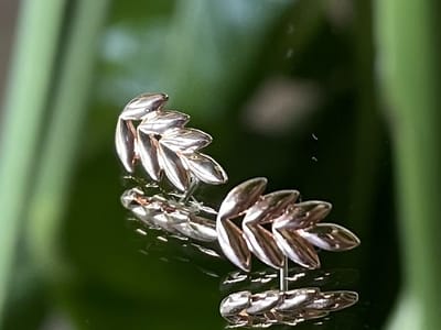 Addictions BodyArt Body Piercing & Tattoo