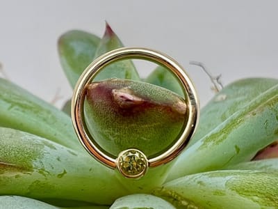 Agave in Bloom Piercing & Fine Jewelry