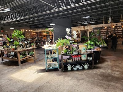 All Sacred Tattoo Studio