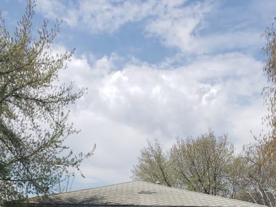 Altered Ink Tattoo Parlor