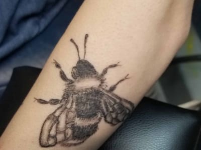 Altered Life Airbrushing & Tattoo a Forbidden Ink Collection