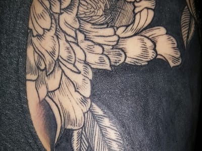 American Crow Tattoo