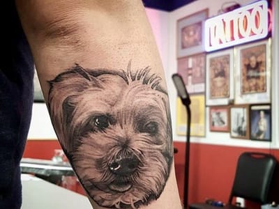 American Dream Tattoo Studio