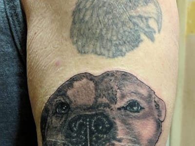 Anchor Tattoo & Piercing