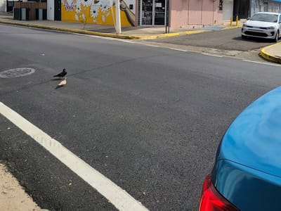 Angel Valentin Tattoo Studio