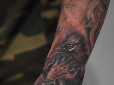 Apollo Tattoo Studio (APPOINTMENT ONLY)