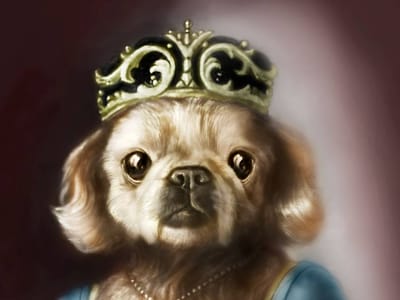 AR Designs Fine Art & Tattoo