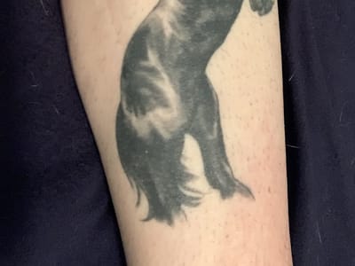 ArtForm Professional Tattoo and Piercing