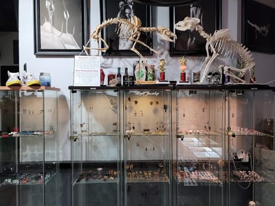 Ascension Body Modification