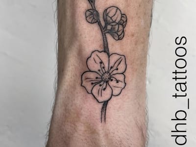 Asheville Craft Tattoo