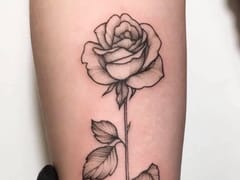 Aurora Tattoo Society