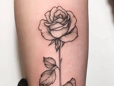 Aurora Tattoo Society