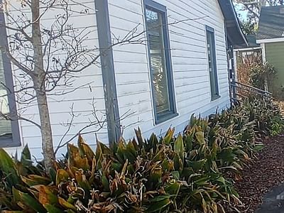 Azalea Tattoo / Maura Cole