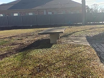 Azalea Tattoo / Maura Cole