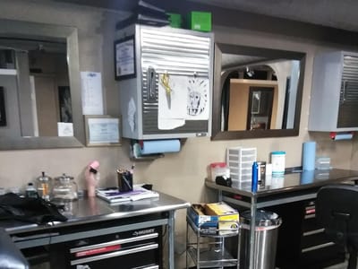 Ballerz Ink Tattoo & Piercing