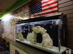 Bandera Tattoo and Body Piercing