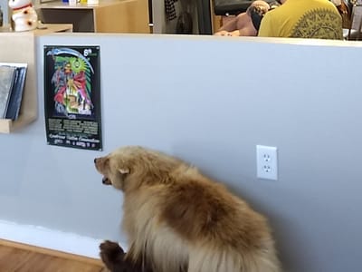 Battle Royale Tattoo