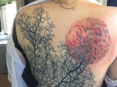 Bearded Lady Custom Tattoo Company LLC