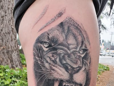 Beluga Palooza Tattoo