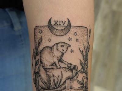 Bittersweet Blackbird LLC