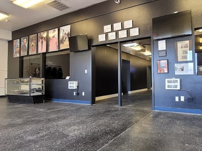 Black and Gray Studios