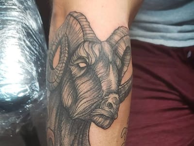 Black Cherry Tattoo Studios