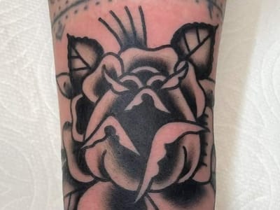 Black Elk Collective