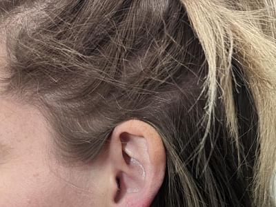 Black Pelican Tattoo