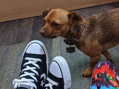 Black Rose Tattooers