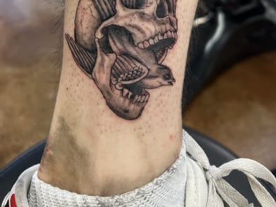 Black Swallow Tattoo Studio