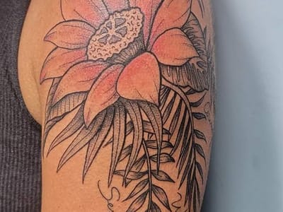 Blackbird tattoo co.