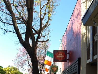 Bleeding beauty tattoo