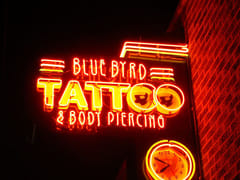 Blue Byrd Tattoo