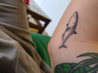 Blue Jacket Tattoo Company and Laser Removal