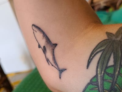 Blue Jacket Tattoo Company and Laser Removal