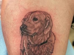 Blue Street Tattoo Supply