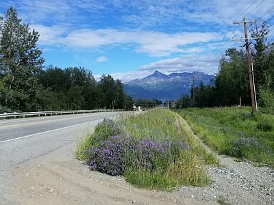 Body Piercing Unlimited & Tattoo Palmer