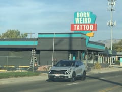 Born Weird Tattoo and Piercing