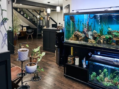 Brass & Briar Studios